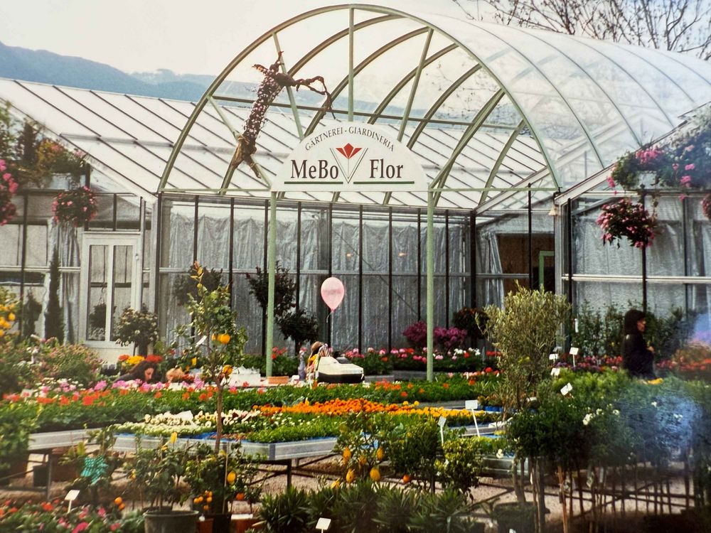 Historisches Gewächshaus der Gärtnerei Mebo Flor in Bozen mit farbenprächtigen Blumenbeeten, Zitruspflanzen und dekorativen Hängepflanzen.