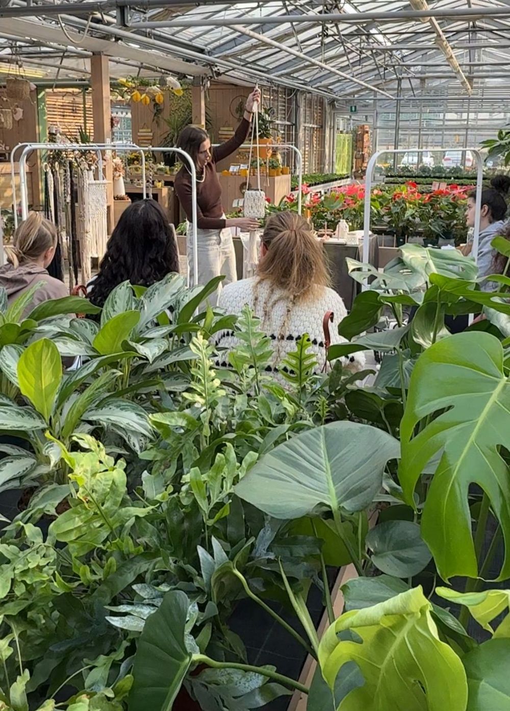 Workshop di macramè tra il verde delle piante d’appartamento nella giardineria MeBo Flor a Bolzano.